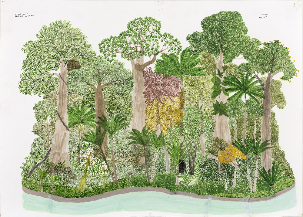 Ciclo anual del Bosque de Vega